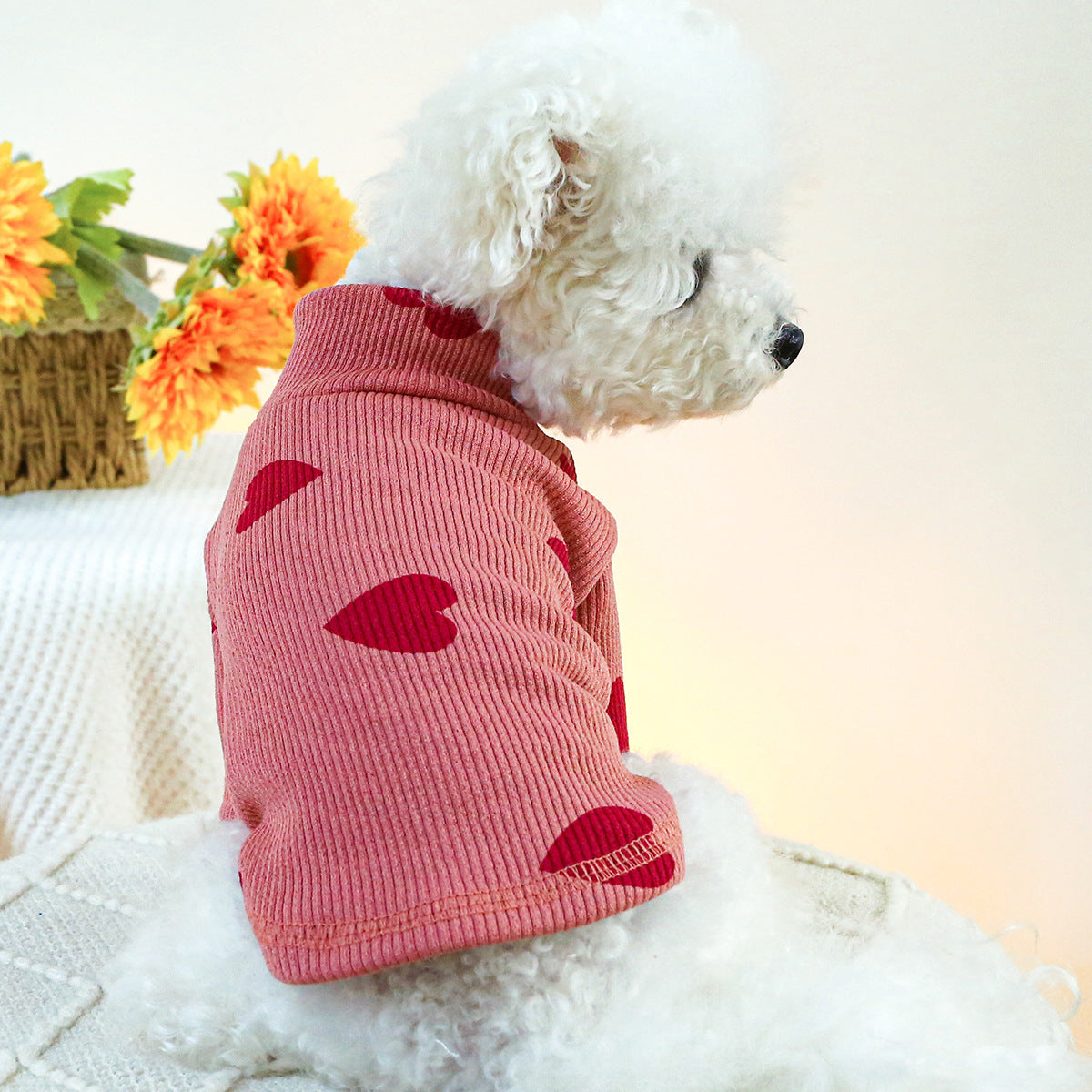 Pet Indoor And Outdoor Dog Cat Clothes Bottoming Shirt