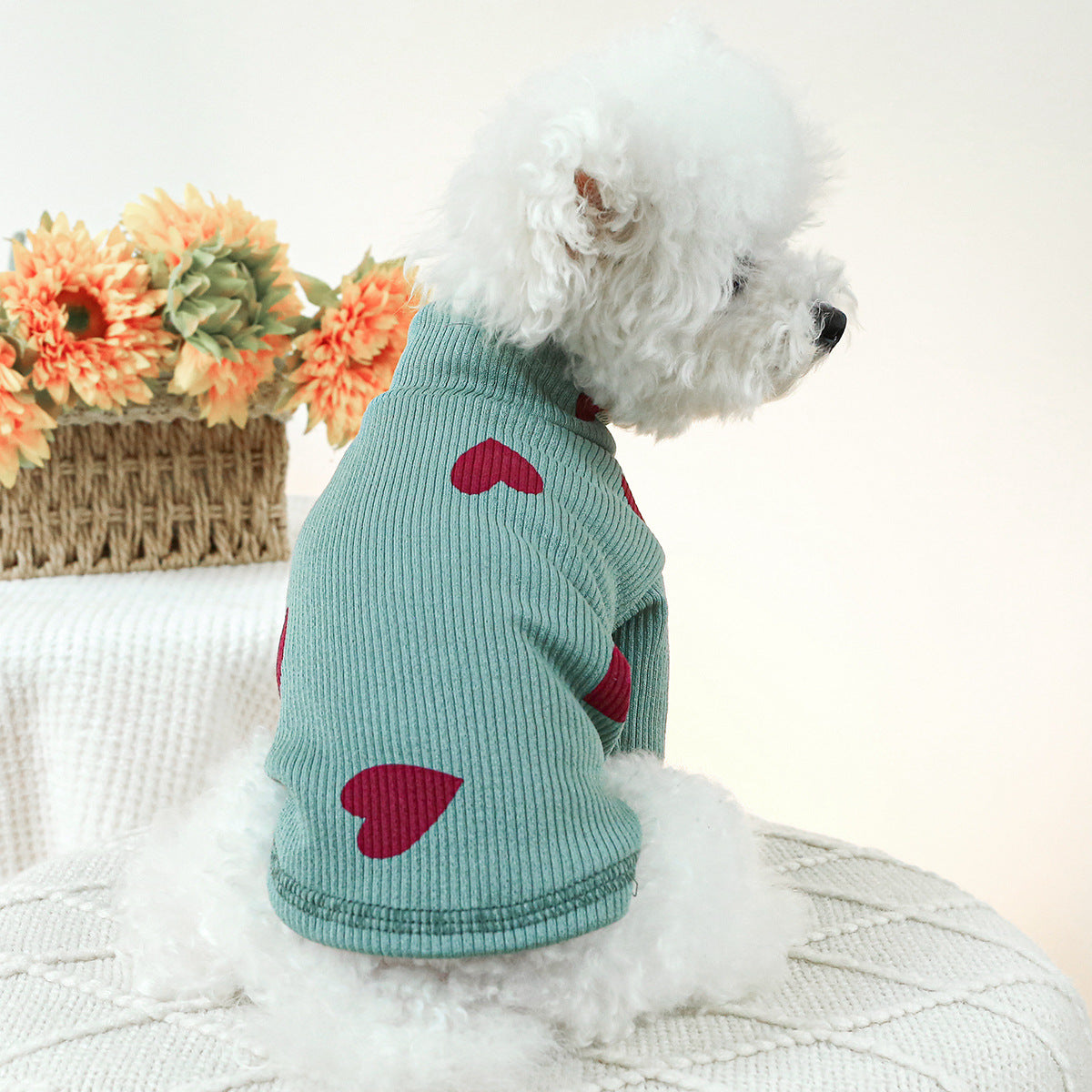 Pet Indoor And Outdoor Dog Cat Clothes Bottoming Shirt