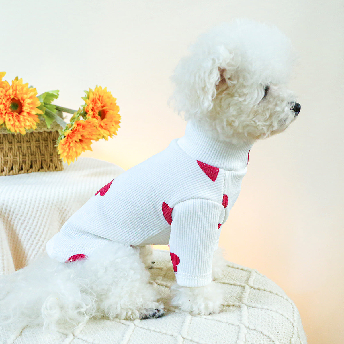 Pet Indoor And Outdoor Dog Cat Clothes Bottoming Shirt