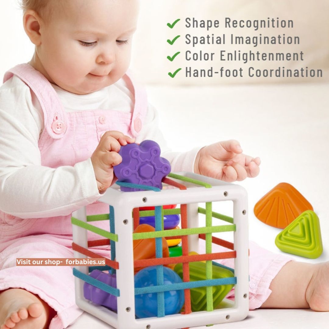 Baby Montessori Learning Educational Toys