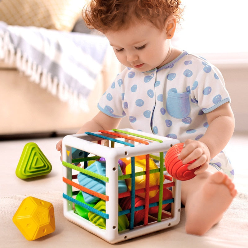 Baby Montessori Learning Educational Toys